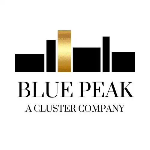 Bluepeak provides web solutions